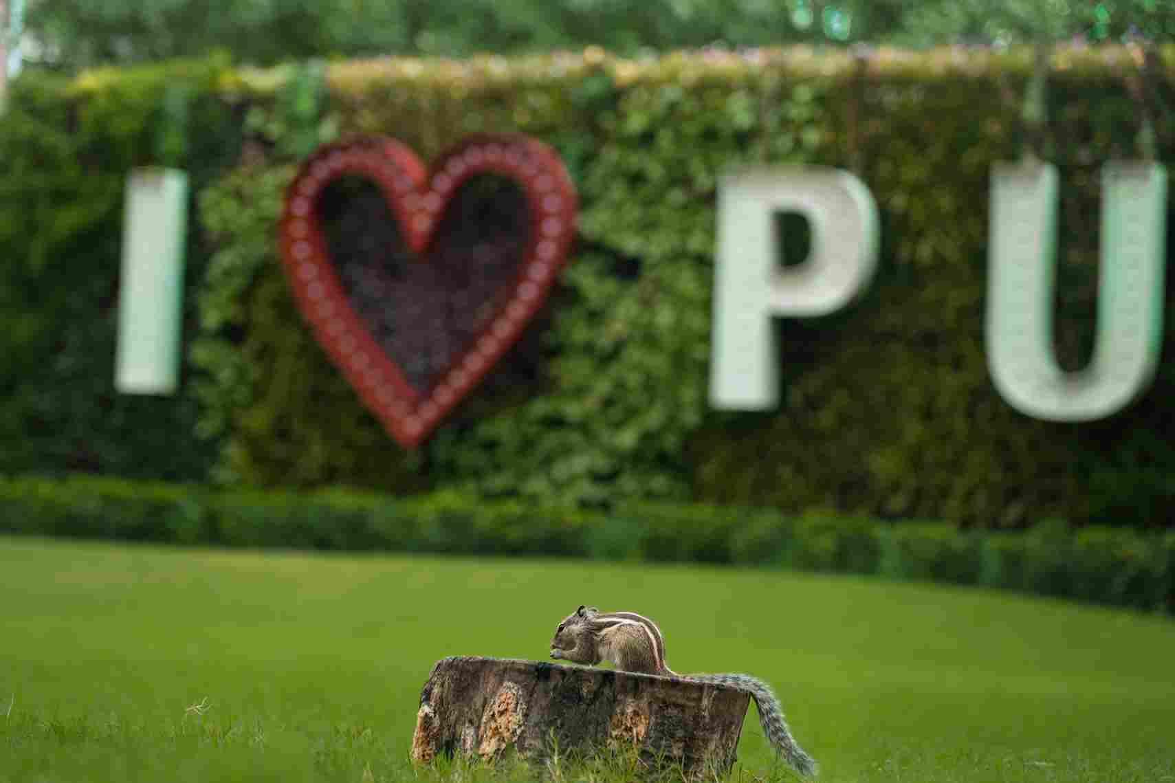 Parul University vibrant campus life at PU photo 2